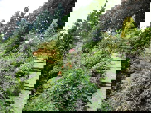 fletcher moss gardens rockery green space in manchester