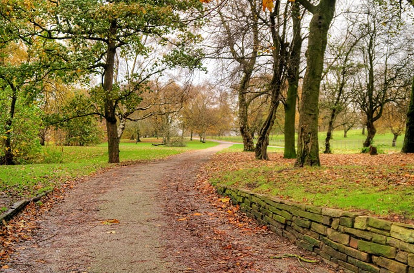 https://www.northerngroup.co.uk/media/yp5amsnl/path_into_heaton_park_-_geograph-org-uk_-_4741694-min.jpg?quality=80&mode=crop&height=900&width=1366&format=jpg